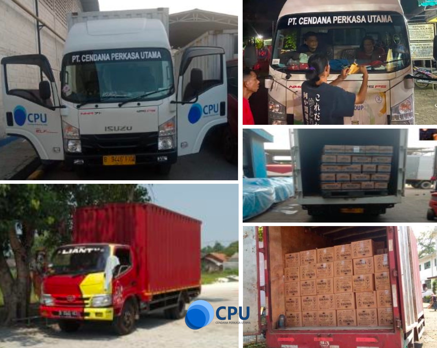 Regular Cargo Services
